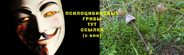 COCAINE Лабытнанги
